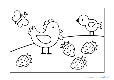 EDA PLAY - COLORING PAGE - ANIMALS: HEN, CHICKEN AND STRAWBERRIES - WHITE BACKGROUND